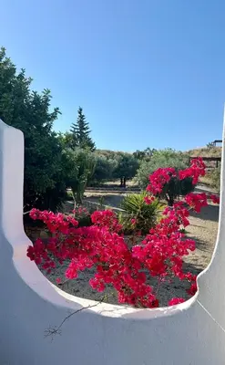 Paisaje cerca of this country house