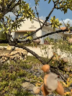 Paisaje cerca de este bed & breakfast