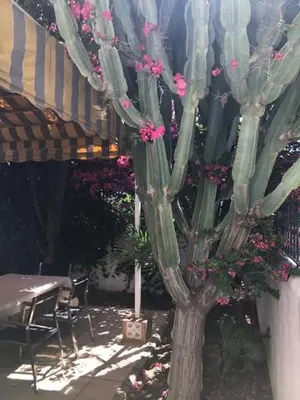 Jardín al aire libre en Urbanizacion Puerto Rey