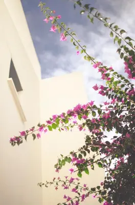 Jardín al aire libre en Casa Marlene