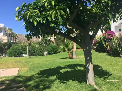 Jardín al aire libre en Ubicación impresionante A 15 metros de la playa Mojacar