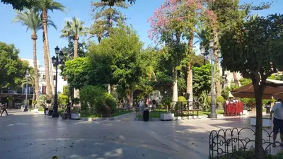 El barrio de los alrededores o un barrio cerca de este apartamento