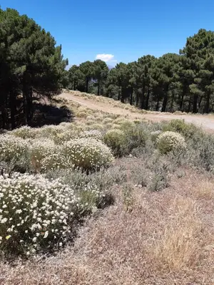 Paisaje cerca de este apartamento