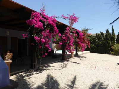 Jardín al aire libre en Cortijillo Violeta