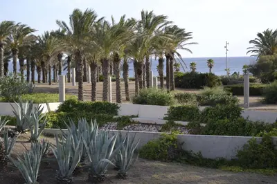Paisaje cerca de este apartamento