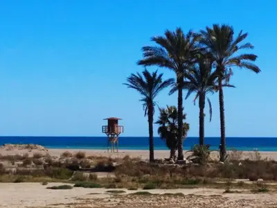 Paisaje cerca de este apartamento