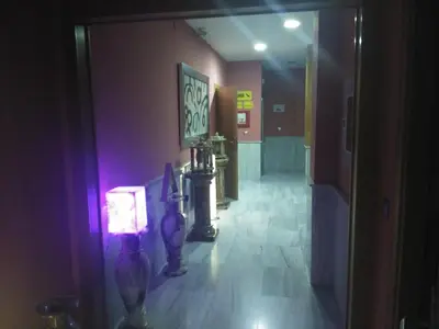 Una televisión o centro de entretenimiento en Hotel Mirasierra