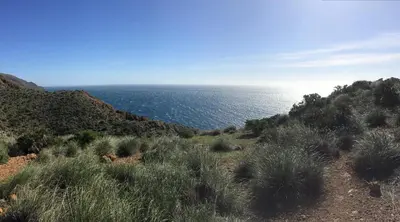 Paisaje cerca de este apartamento
