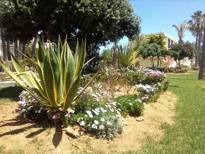 Jardín al aire libre en Estudio Frente Al Mar