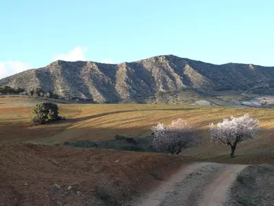 Paisaje cerca de este apartamento