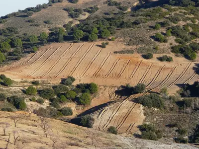 Paisaje cerca de este apartamento