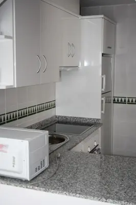 Una cocina o zona de cocina en Apartamentos Torrelaguna