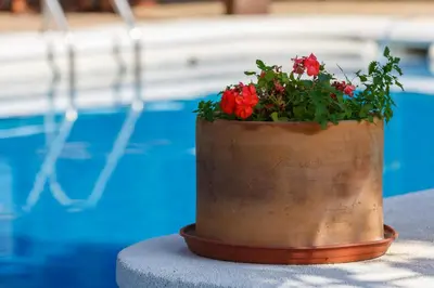 Piscina en o cerca de Casita Las Malvinas en Villa de Nijar con piscina