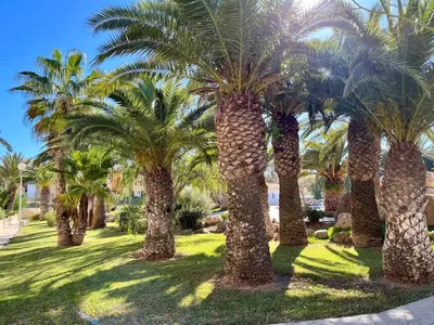 Jardín al aire libre en Apartamentos Moguima