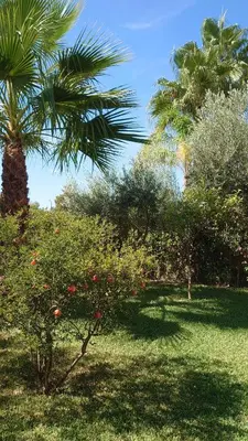 Jardín al aire libre en Villa Alandalus