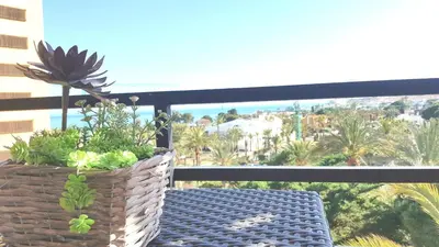 Un balcón o terraza de El Palmeral
