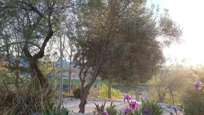 Jardín al aire libre en Cueva Las Yeseras