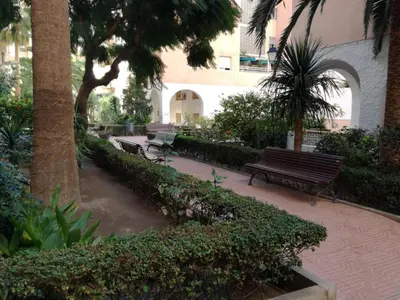 Jardín al aire libre en La casa de Blanca. Coqueto piso céntrico y cerca de todo
