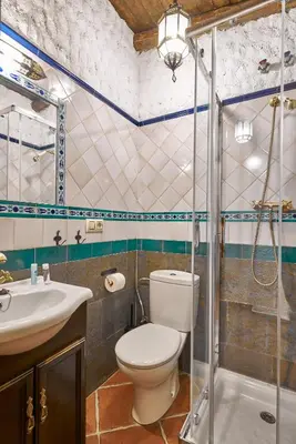 Un baño de La Almunia de la Alpujarra