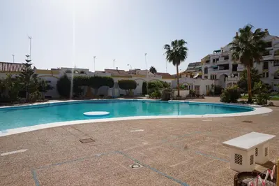Piscina en o cerca de Dandelion / Roquemar
