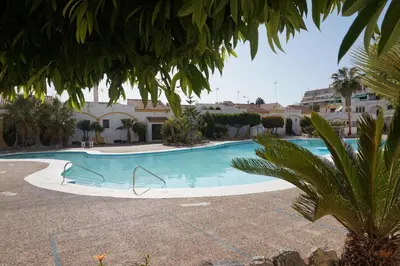 Piscina en o cerca de Dandelion / Roquemar