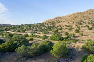 Paisaje cerca of this country house