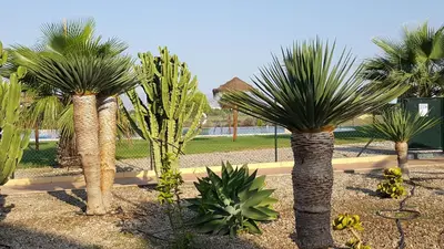 Jardín al aire libre en Apartments Sol de Almeria Golf y Playa