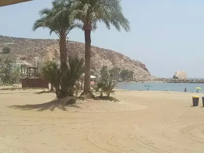Paisaje cerca de este apartamento