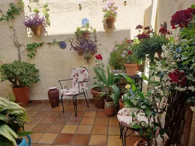 Jardín al aire libre en Apartamento rural Casa Medico