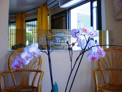 Plano de Hotel Rancho del Mar