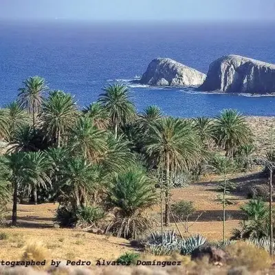 isleta del Moro Daniel