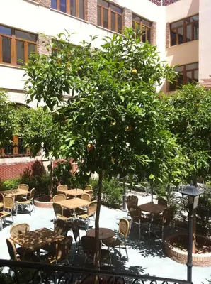 Un restaurante o sitio para comer en Balneario San Nicolas