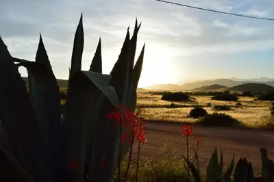 Paisaje cerca of this country house