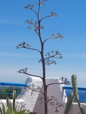 Paisaje cerca de este apartamento