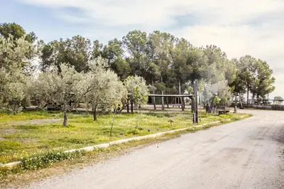 Paisaje cerca of this country house