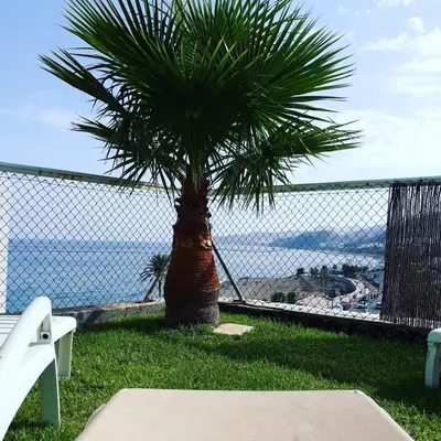 Paisaje cerca de este apartamento