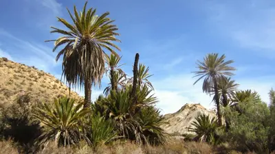 Paisaje cerca de este apartamento