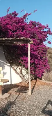 Plano de Vistas al Mar