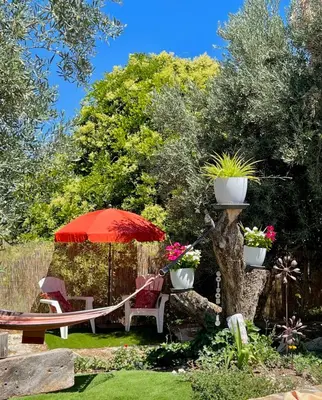 Jardín al aire libre en Cuevas de la Paz - Cave House Holidays
