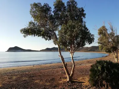 Paisaje cerca de este apartamento