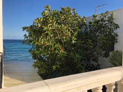 Paisaje cerca de este apartamento
