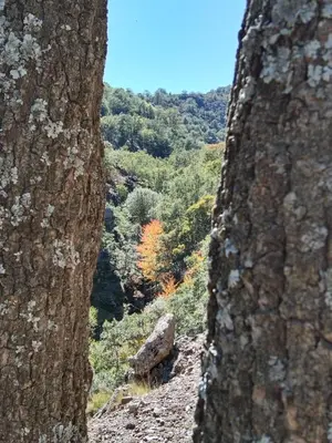 Paisaje cerca de este hotel