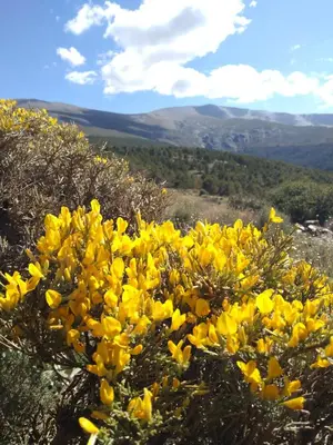 Paisaje cerca de este hotel