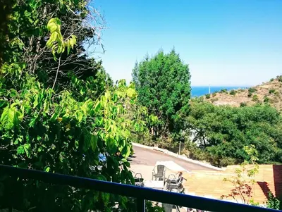 Paisaje cerca de este hostal o pensión