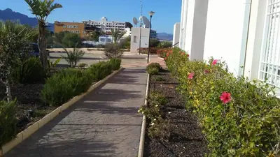 Jardín al aire libre en APARTAMENTO JUNTO AL MAR EN LA COSTA DE ALMERIA