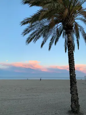 Paisaje cerca de este apartamento