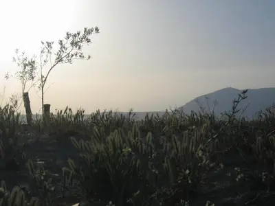 Paisaje cerca de este apartamento
