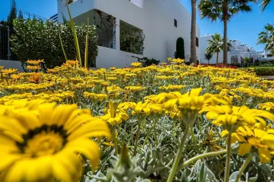 Jardín al aire libre en Rosa