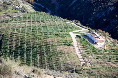 Paisaje cerca de este chalet de montaña