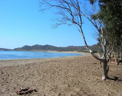 Paisaje cerca de este apartamento